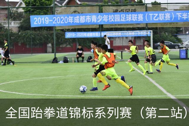 全国跆拳道锦标系列赛（第二站）第三日 冀晋浙苏各得一金