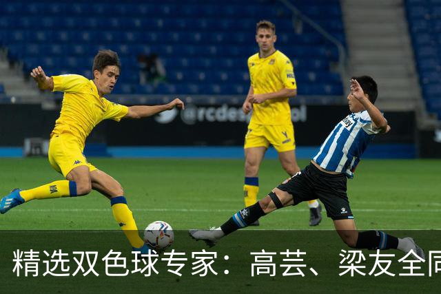 精选双色球专家：高芸、梁友全同中二等279万！